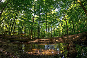 全省森林防火多媒體(tǐ)指揮(huī)系統